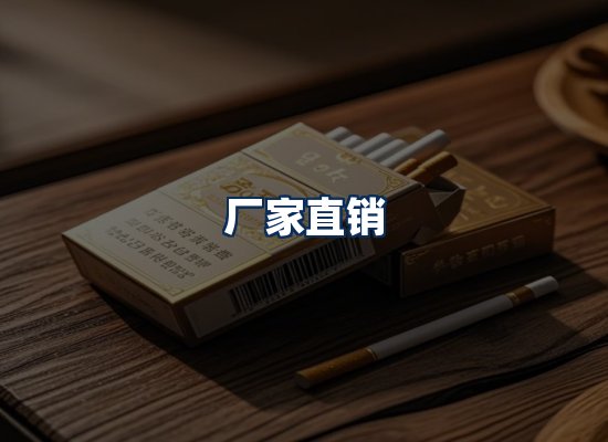 专业团队办公环境